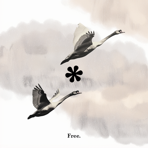 freedom to create: the we reflect journey