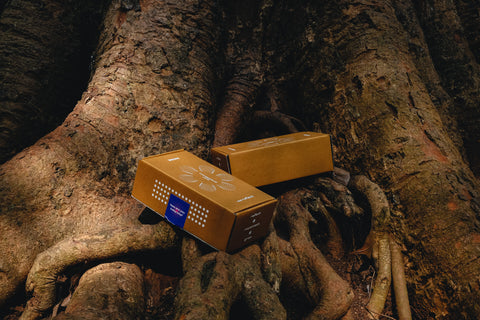 conscious cards
